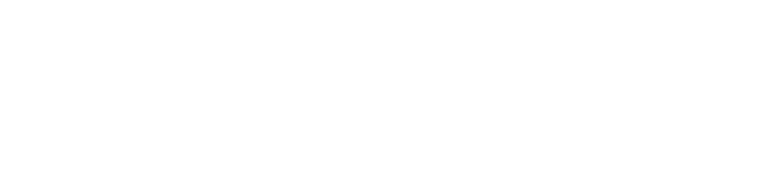 OptiVertex